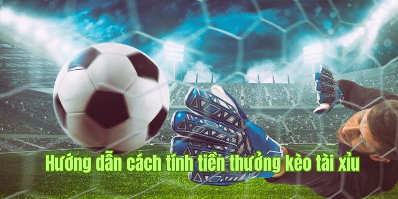 Kèo Tài Xỉu Là Gì? Cách Chơi Hiệu Quả Theo Nhà Cái Uy Tín 3 Website Nhà Cái Uy Tín hướng dẫn tính tiền kèo cược